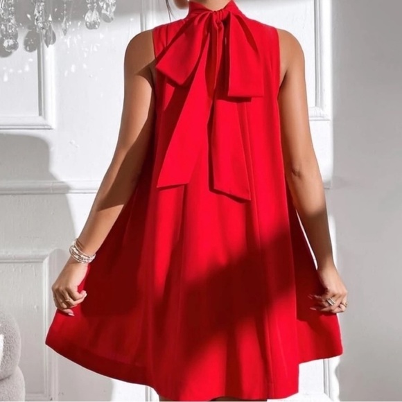 Nwt. FULLY LINED TRAPEZE DRESS W HIGH NECK AND TIE FOR BACK BOW SZ LARGE - Picture 2 of 4